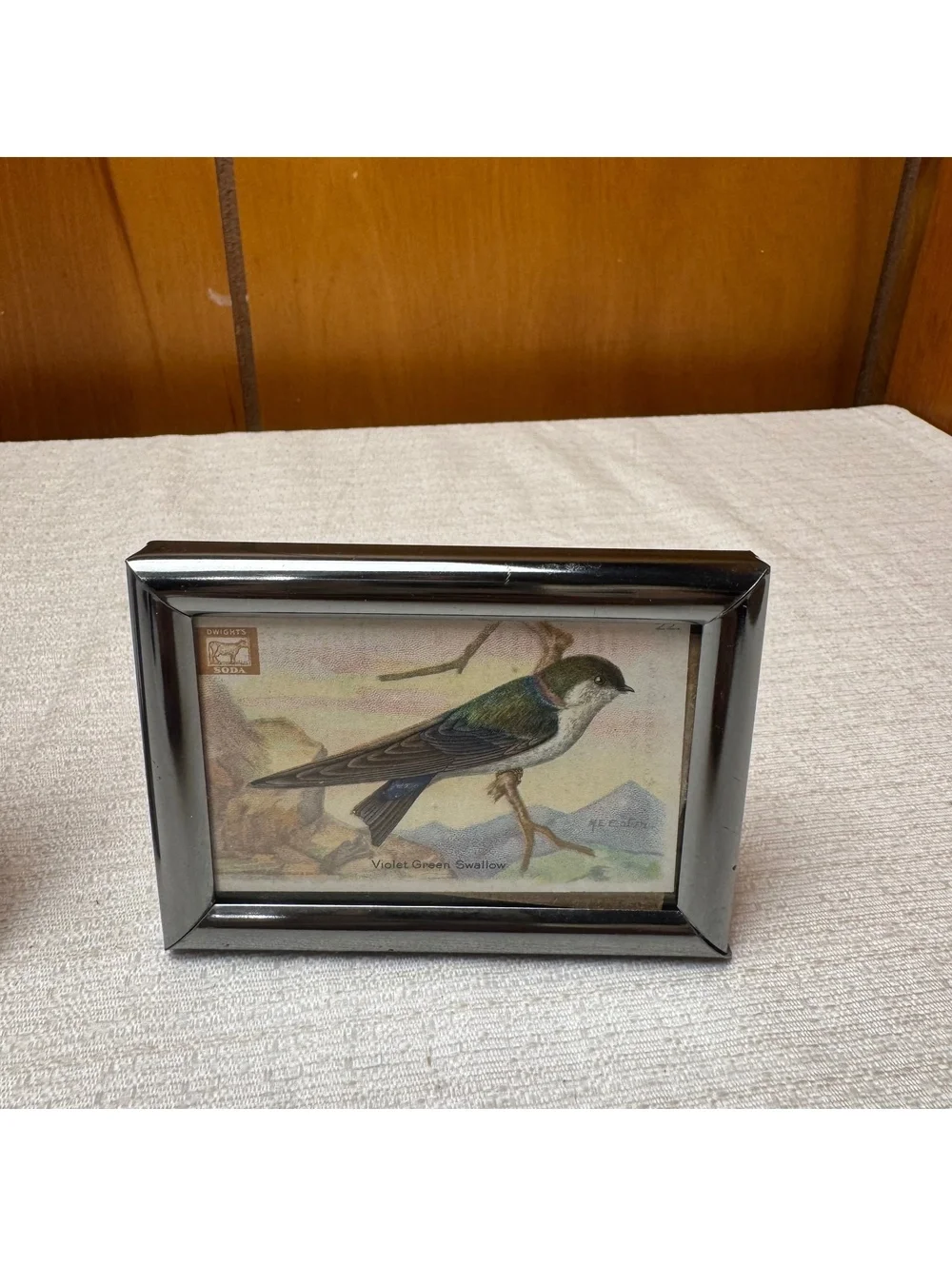 Vintage Mini Bird Prints in Silver Tone Frames Set of 2 Dwight’s Soda Card Art
